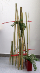 Ikebana-International Vienna zum Japanischen Frühlingsfest in Baden 2019